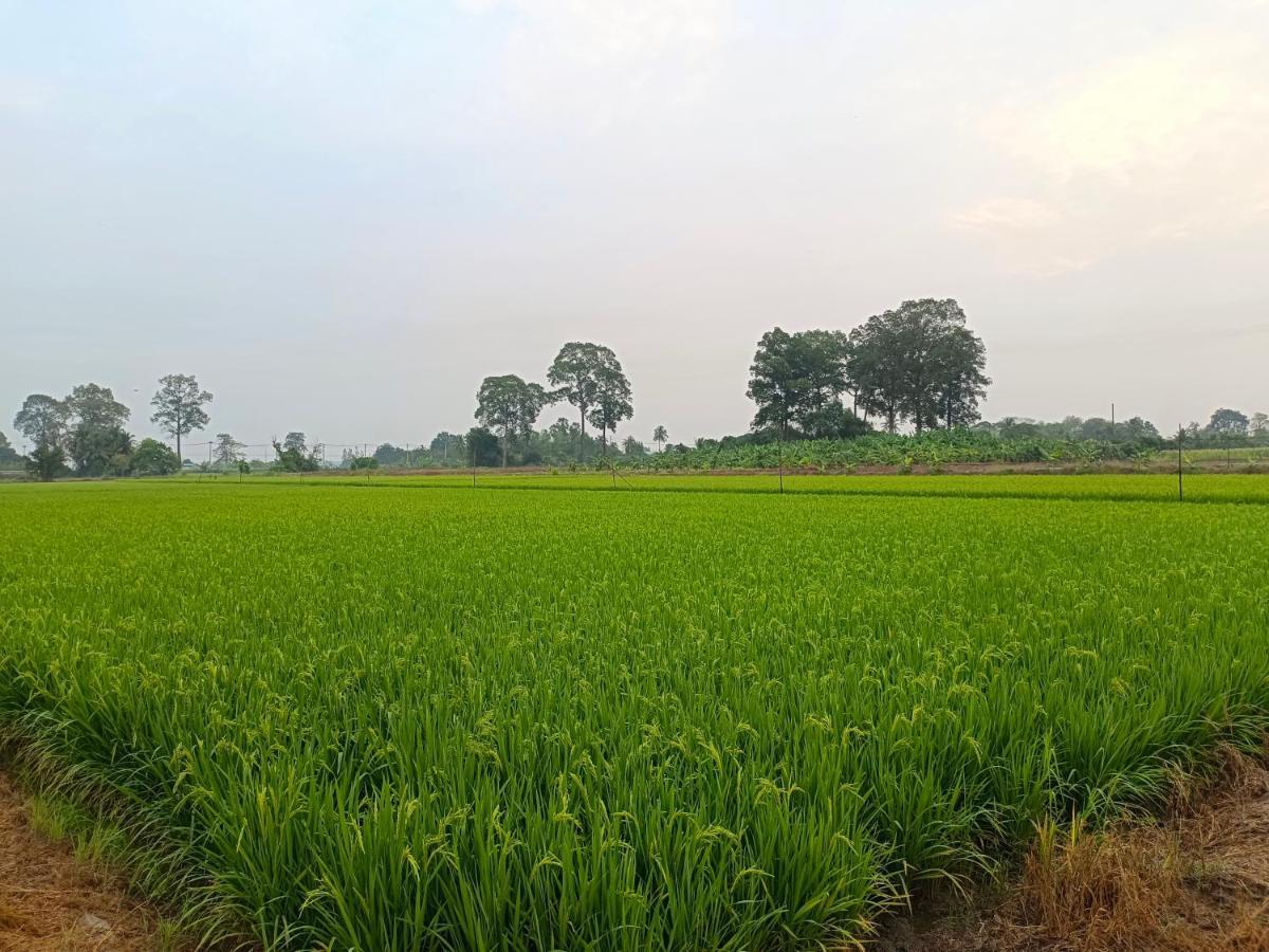 บ้านแม่อุทัยธานี Baanmae Uthaithani 외부 사진