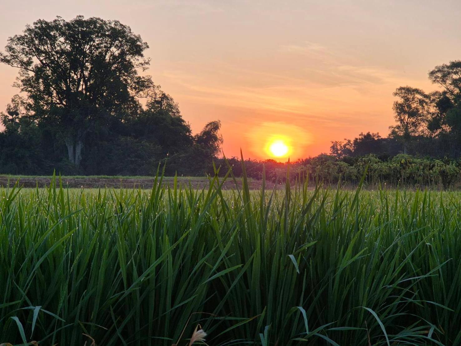 บ้านแม่อุทัยธานี Baanmae Uthaithani 외부 사진
